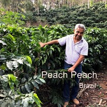 [위트러스트] 브라질 피치피치 500g Brazil Peach Peach/ 스페셜티 커피 원두, 홀빈