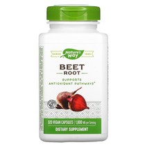 네이쳐스웨이 비트 루트 1000mg 320캡슐