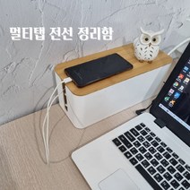 전선정리함 멀티탭정리함 전선정리, 화이트, 1개