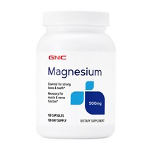미국 GNC 마그네슘 500mg 120 캡