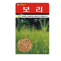 SN월드 씨앗 민속특수씨앗 약초 곰취 냉이 와송 삼채 더덕 도라지 당귀 잔디, 보리