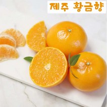 바로보담 제주 황금향 5kg 10kg 제철 농장 산지직송 가정용, 10kg정품 중대과 혼합(40~60과 내외)