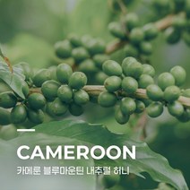 [생두] 카메룬 블루마운틴 내추럴 허니 5kg