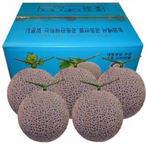 부드러운 과육 가득 달콤한 국내산 머스크 멜론 2수(2kg내외), 단품