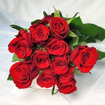 앤드플라워 생화택배 꽃정기구독 꽃정기배송 꽃배달싼곳 꽃다발 화훼농가돕기 꽃화병 생일꽃다발 꽃배달, 03. 푸에고 빨강장미  10송이