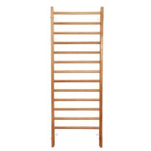 늑목 평행 바 포함 체육 교구 사다리 클라이밍 등반, 2.2x0.8m(단일 및 평행 바 제외)