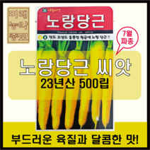 23년산 노랑당근 씨앗 500립 -7월파종, 1개