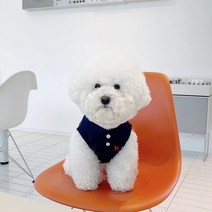 강아지명품옷 강아지봄옷 여름옷 셔츠 칼라 개 옷 여름 강아지 조끼 테디 셔츠 베어 풀오버 솔리드 컬러, 03 Black_02 S