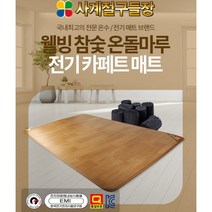 사계절구들장 전기 카페트 매트 6종 온열매트, 초특대형(230x183cm)