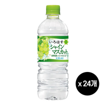 이로하스 샤인머스캣 550ml 24개 1박스, 단품, 단품