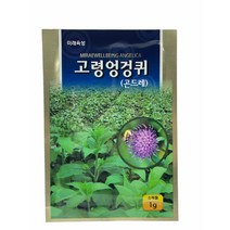 고령엉겅퀴 (곤드레) 씨앗 1g, 1개