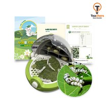 티처스관찰세트 누에키우기 동물의 한살이 사육실험 프리미엄키트(누에 뽕잎 사이언스캔관찰함 워크북포함), 프리미엄세트