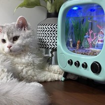 가정용수족관 고양이 어항 TV 테이블 상판 투어 가정용 아이디어 수족관 장식 사무실 가정용-10855, 옵션01, 27x14x24cm