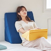 소프트 식스모션 삼각 쿠션 2size, 소프트 식스모션 미니쿠션 민트