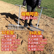 구근파종기 구멍삽 모종천공기 한손모종이식기 깨파종기 심기 양파 인공 심기 양파 심기 파종기 펀칭 파 포크 자동 펀칭 도구 양파 심기 야채 이식 이식기, 14홀형 양파 심기 도구