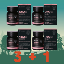 한미 낙산균 4통 500mg x 120정, 4개