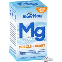 SlowMag Mg Magnesium 염화마그네슘 칼슘 120정