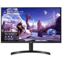 LG전자 80cm QHD PC 모니터, 32QN650