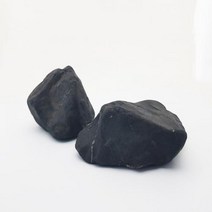 펫 순지트