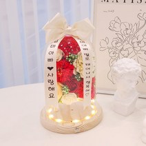 미니화환 카네이션 유리돔 무드등 어버이날 부모님 생신 감사 축하 선물, 레드, 2번문구