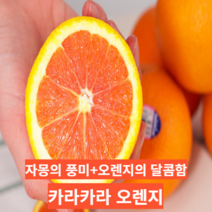 [새콤달콤자몽오렌지] 마미템 카라카라 오렌지, 1개, 중과 4kg