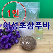 [더위치] 더위치 1인 DIY 어성초 샴푸바 만들기 키트 바디바 린스바 제로웨이스트 환경 교육