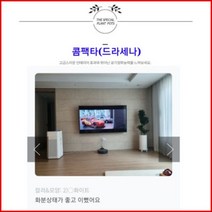없음 [반값화분] MAIN-대형콤팩타130(드라세나) 직접배송 축하화분 개업화분 거실화분 카페화분 인테리어화분 아레카야자 극락조 알로카시아 파키라 고무나무, 원통화이트