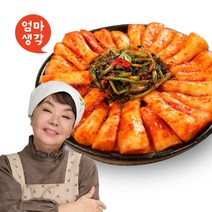 김수미의 엄마생각 총각김치 3kg, 단품