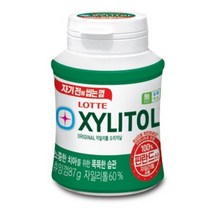 롯데제과 자일리톨 오리지날 츄잉껌, 87g, 12개