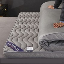 에어넷 매트리스 느린 리바운드 매트리스 및 메모리 폼 필링 다다미 가족 침대 커버 킹 퀸 풀 사이즈 학생