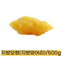 미국산/지방덩어리모형(지방모형) 500g/실물촉감 혈관표현