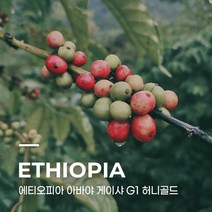 [생두] 에티오피아 아바야 게이샤 G1 허니골드 10kg