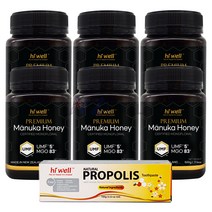 하이웰 프리미엄 마누카 허니 UMF 5+ 500g 6개