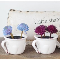 미니 조화선인장 진짜같은꽃 거실꾸미기 집들이화분, 퍼플