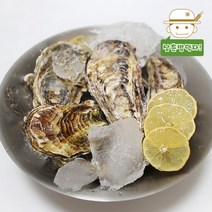 [통영직송] 우윳빛깔 통통한 통영 석화 10kg, 단품