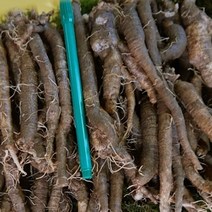 고씨네농장 생더덕1호 피더덕 횡성더덕 야생더덕, 더덕-1호(1Kg), 1