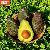 효키스트 생 아보카도 avocado 중과 대과 10개입, 대과(개당 220g내외)