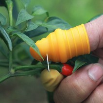 고추 채소 야채 수확 따기 톱날 엄지 나이프 칼 철선골무 방지골무 검지골무, 1-톱날칼소형