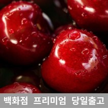 [특등급선별] 체리 4kg 바이오체리 생체리 레이니어체리 체리가격 체리종류 국산체리 체리농장 칠레산체리 워싱턴체리 국내산체리 미국체리 캘리포니아체리 미국산체리 항공체리 체리박스