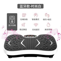 음파진동기 전신 뱃살 쉐이크 덜덜이 홈트 음파 운동기구 다이어트 기구, 6.마그네틱+지압판+빠른슬림+몸매맞춤/199단+적