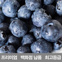 백화점_납품_1kg_보관_영화청과_프리미엄_시세_생_저장_냉동_블루베리_수입산_재배 5FDC, 상세페이지 참조