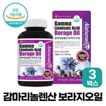 보라지유 감마리놀레산 보라지오일 100% 감마리놀렌산 GLA 240mg 함유, 3박스, 1000mg 180캡슐, 180정