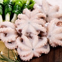 국내산 활 쭈꾸미 당일조업 생물 알배기 주꾸미 1kg 2kg, 활 쭈꾸미 2kg, 1개