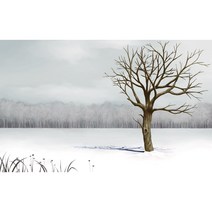 겨울 풍경화 설경 그림 액자 제작, 10M (﻿53cmX33.3cmX2cm), 2.자작나무숲