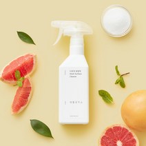 생활공작소 다목적 세정제, 400ml, 2개