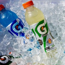 롯데 레몬 게토레이 스포츠 음료 대용량 240ml 30캔, 30개