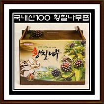 천기누설 약초 황칠나무즙 1박스(100ml x 60p), tm 1