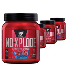 노익스 부스터 30서빙 BSN XPLODE, 수박, 1개