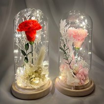 프리저브드 카네이션 무드등 (소) 인테리어 조명, 프리저브드 카네이션 무드등 (소) 핑크, 프리저브드 카네이션 무드등 (소) 핑크