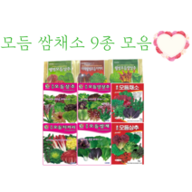 모듬 쌈채소 씨앗 9종 모음 [22년포장] 모듬상추씨앗 모듬치커리씨앗 모듬양상추씨앗, 제일모듬상추